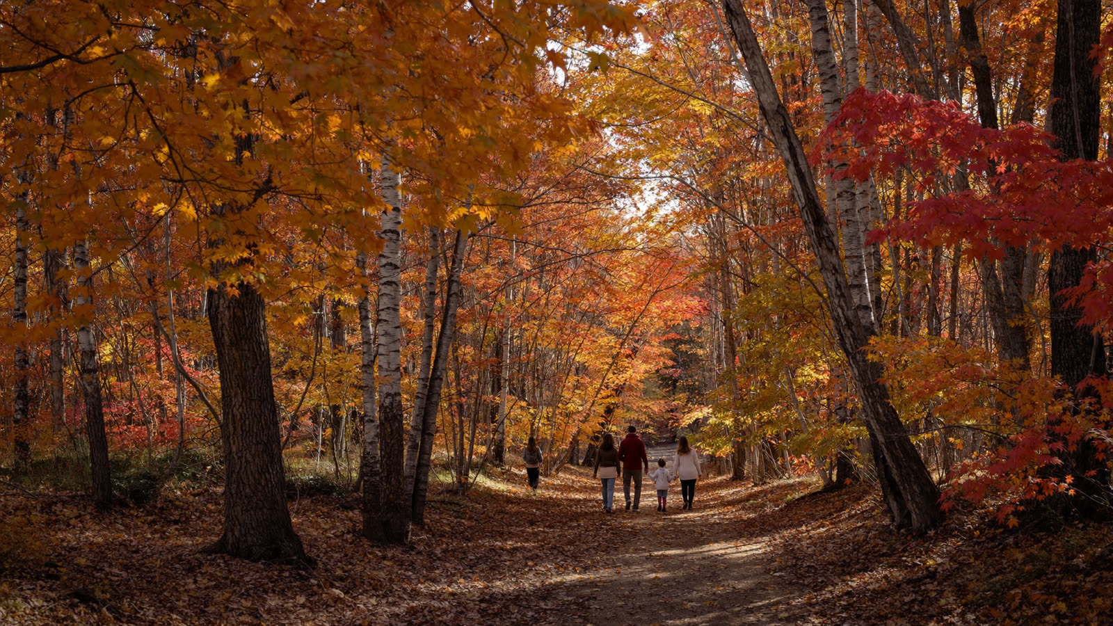 A family walking a leaf-covered ravine trail under peak orange and red maples on Thanksgiving weekend