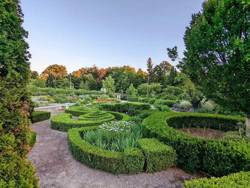Clipped boxwood knot garden and flower beds at the Toronto Botanical Garden, with trees turning orange behind