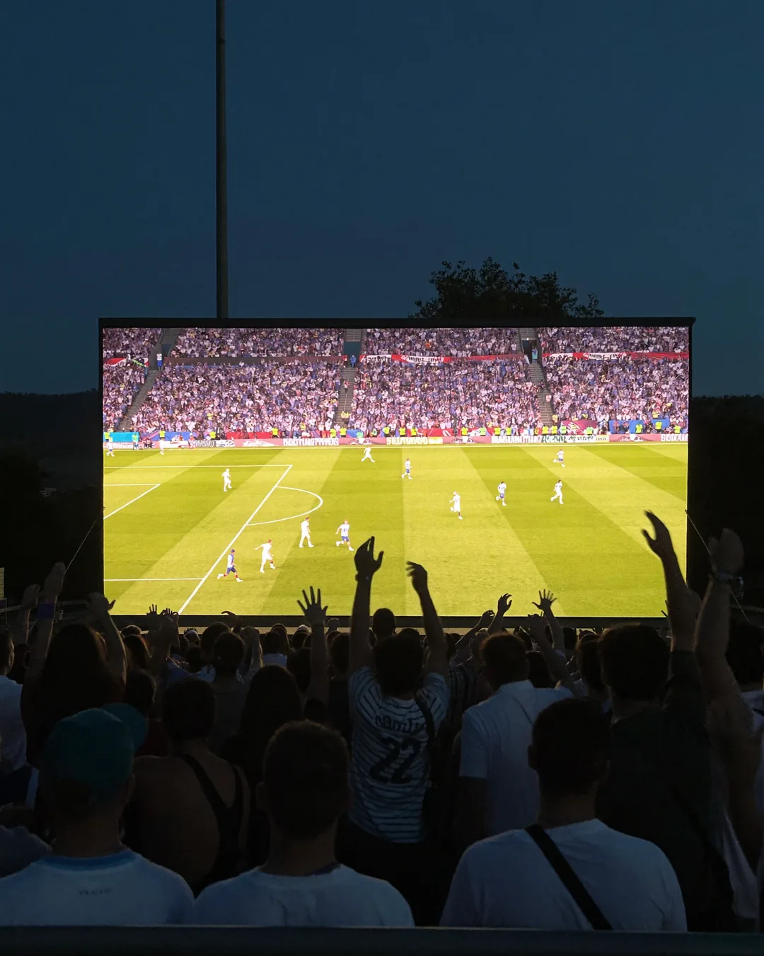A crowd watching the World Cup on a big screen in North York