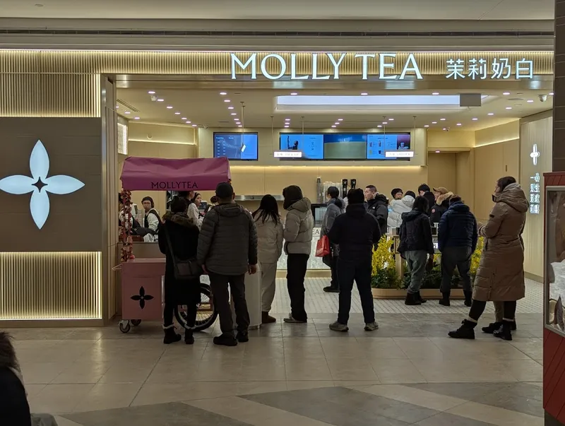 Molly Tea Snowy Jasmine Tea