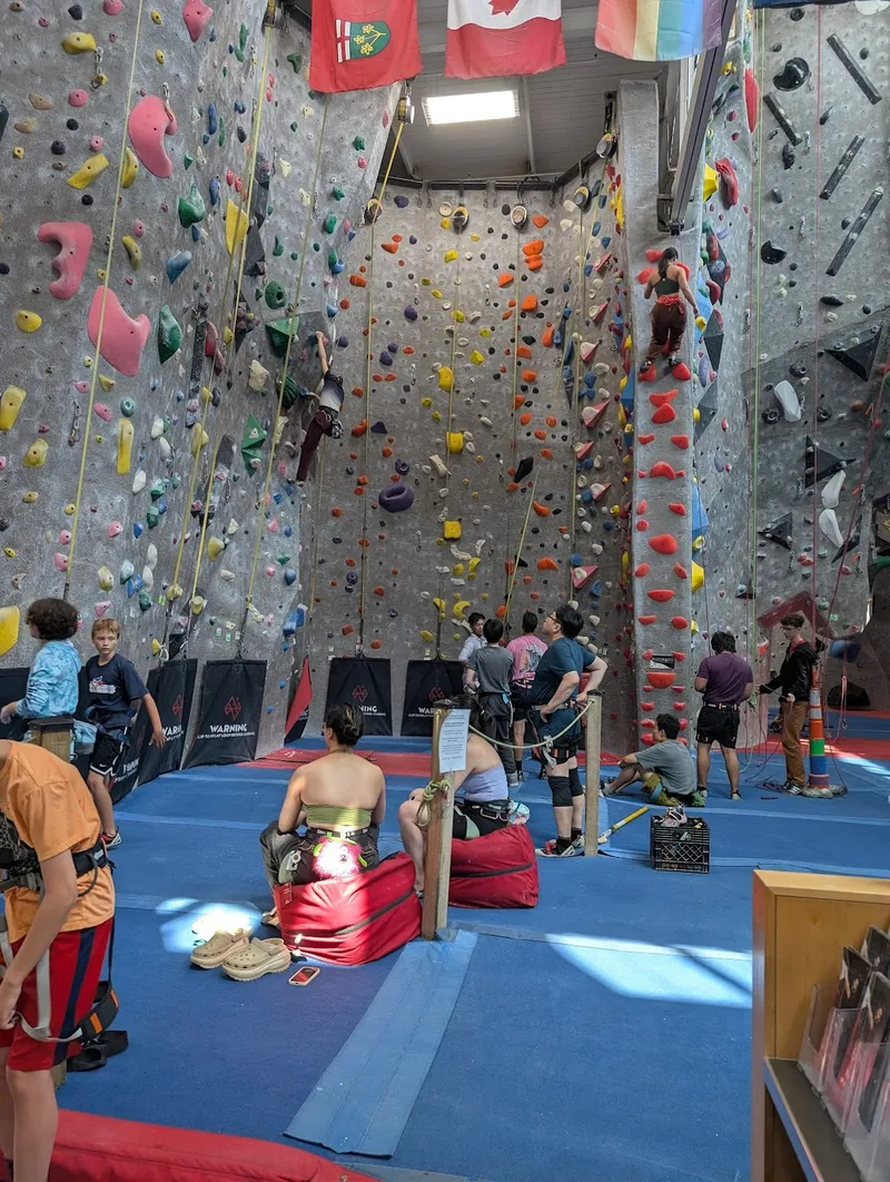 True North Climbing indoor rock climbing walls