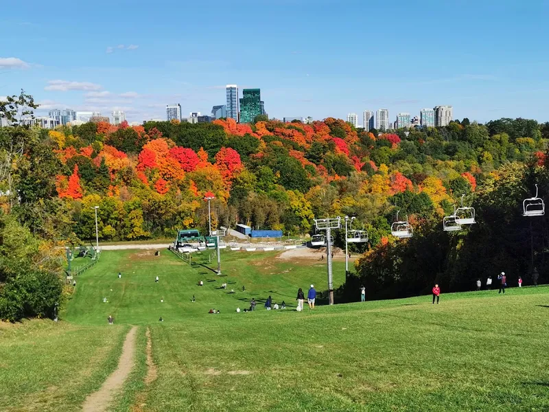 Earl Bales Park hill and paved trails for hill training